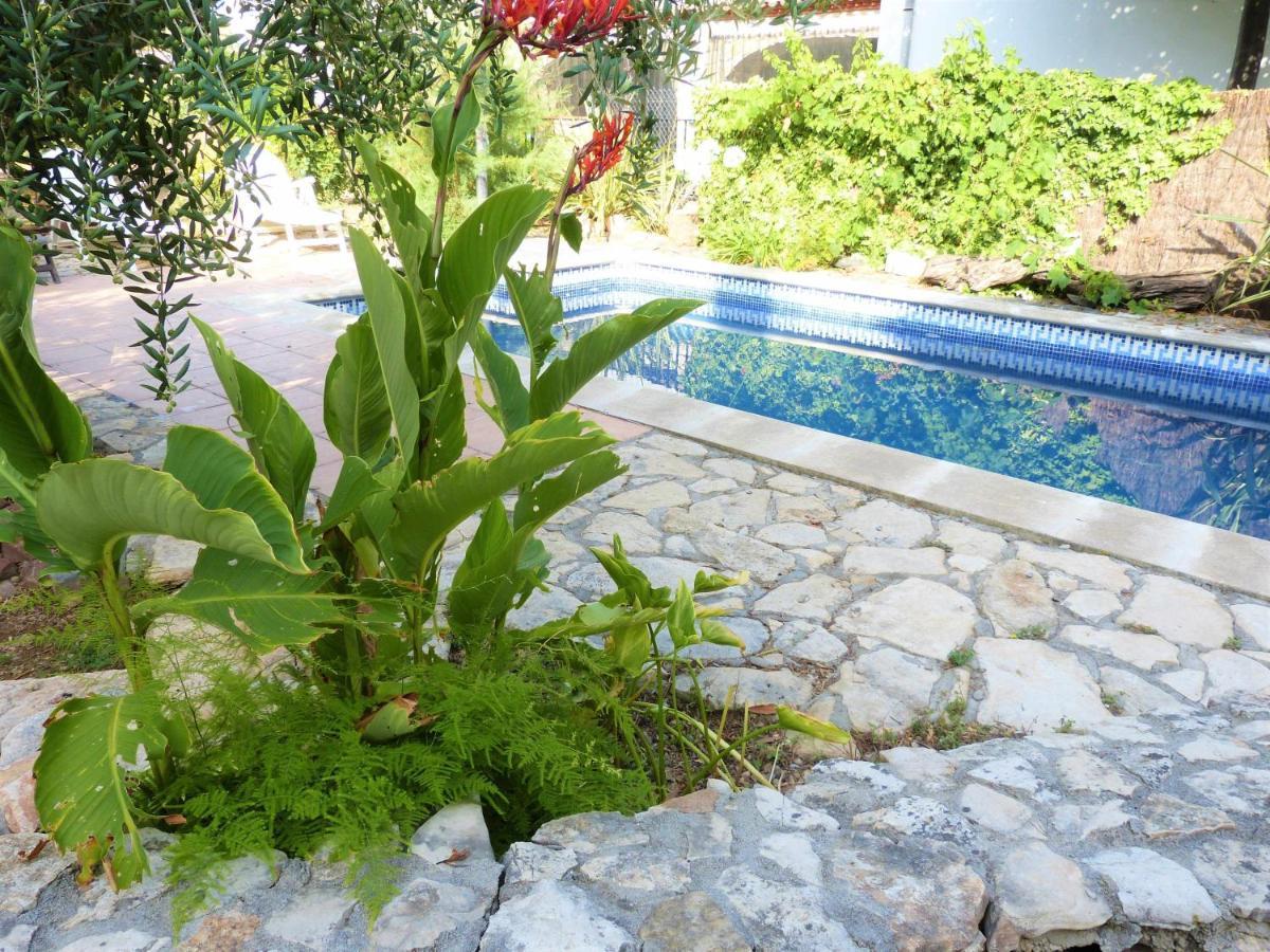 Villa Hort De La Cinteta Alcover Exterior foto